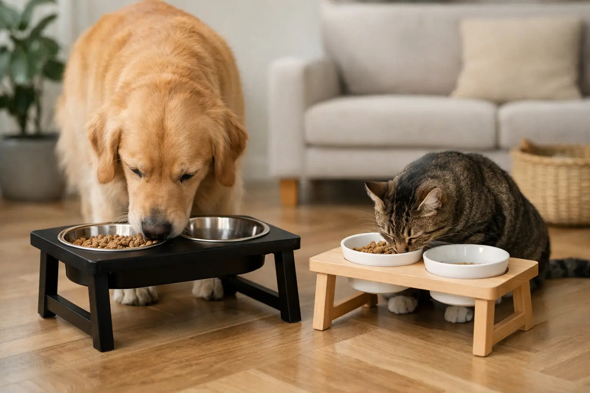 Are Elevated Pet Bowls Better for Your Pet?