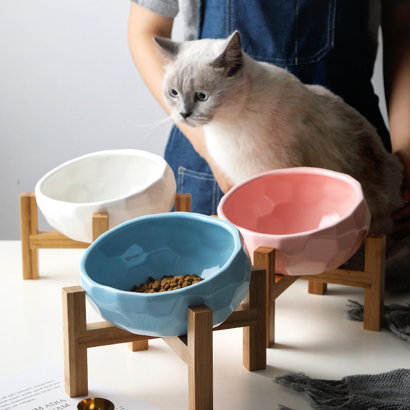 Oblique Mouth Elevated Pet Bowl – Ergonomic Cat & Dog Food Bowl