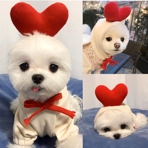 Cute Fruit Dog Hoodie – Warm Fleece Sweater for Small Dogs & Cats