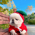 Cute Fruit Dog Hoodie – Warm Fleece Sweater for Small Dogs & Cats