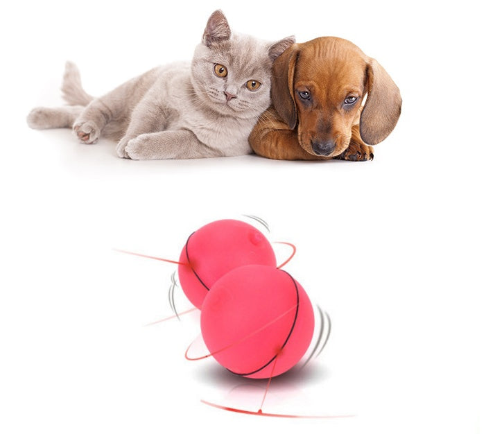 LED Auto-Rolling Cat Toy Ball – USB Rechargeable with Catnip & Feathers