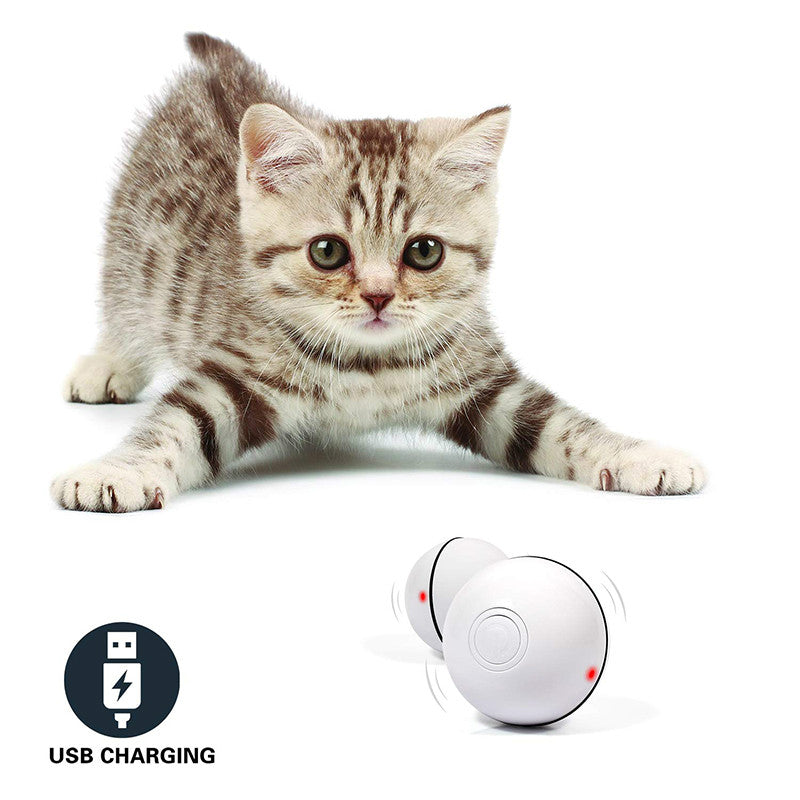 LED Auto-Rolling Cat Toy Ball – USB Rechargeable with Catnip & Feathers