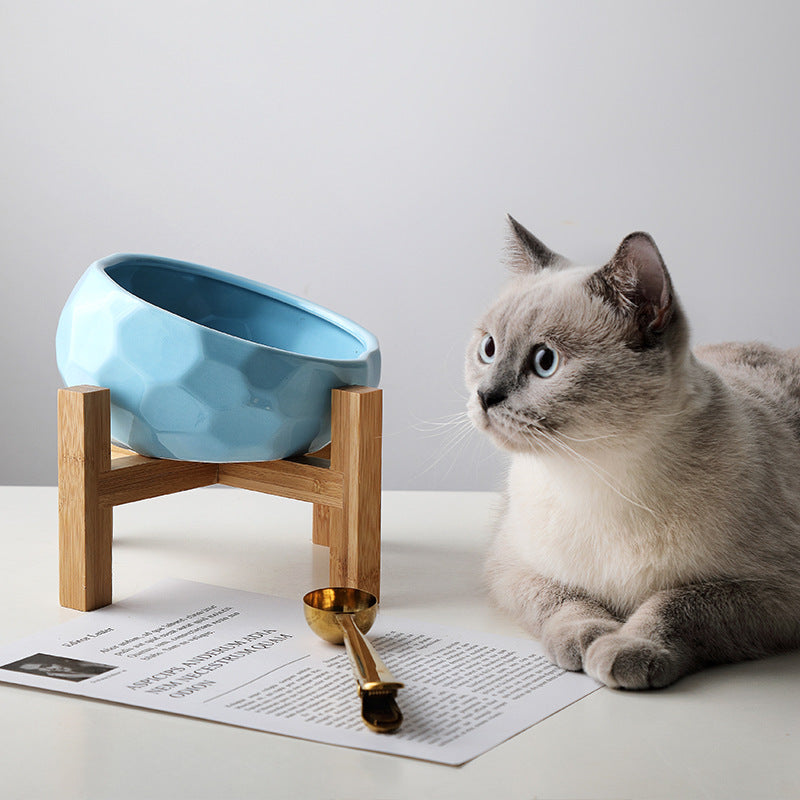 Oblique Mouth Elevated Pet Bowl – Ergonomic Cat & Dog Food Bowl
