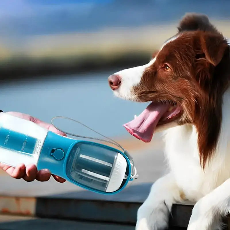 portable dog water bottle