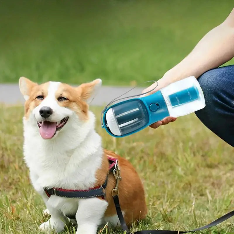 portable dog water bottle