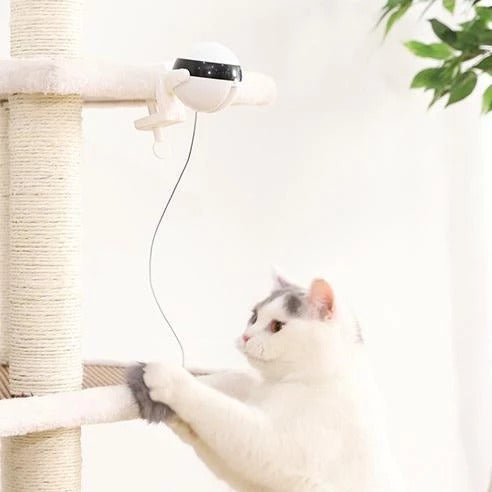 Electric Interactive Cat Toy with Fur Ball & Rope – Auto Motion Teaser for Indoor Cats