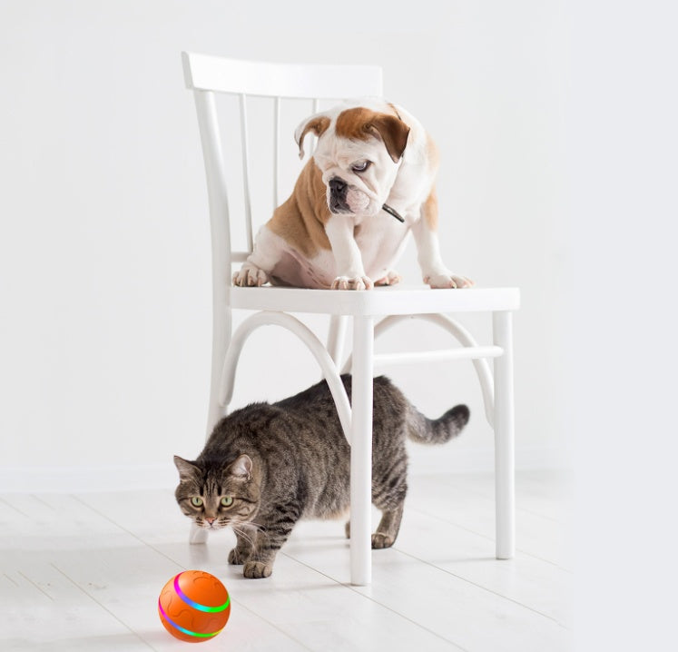Automatic Self-Rotating Cat Ball Toy – USB Rechargeable Electric Ball with Remote Control