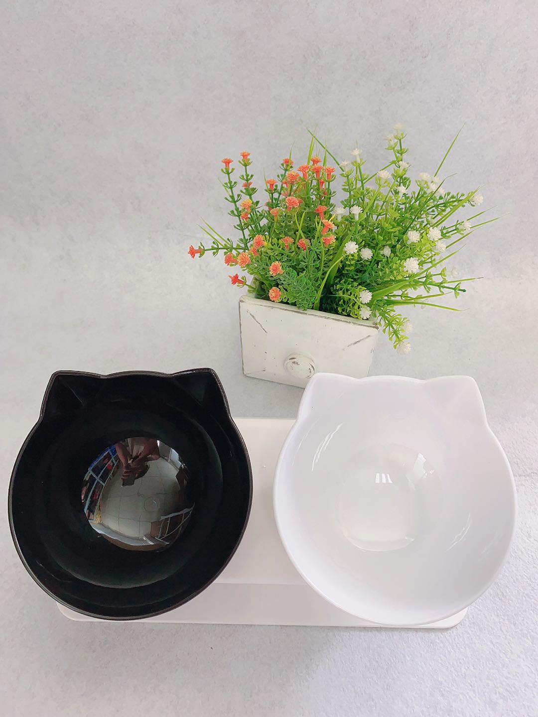 Tilted Cat Double Bowl – Ergonomic 15° Elevated Food & Water Feeder