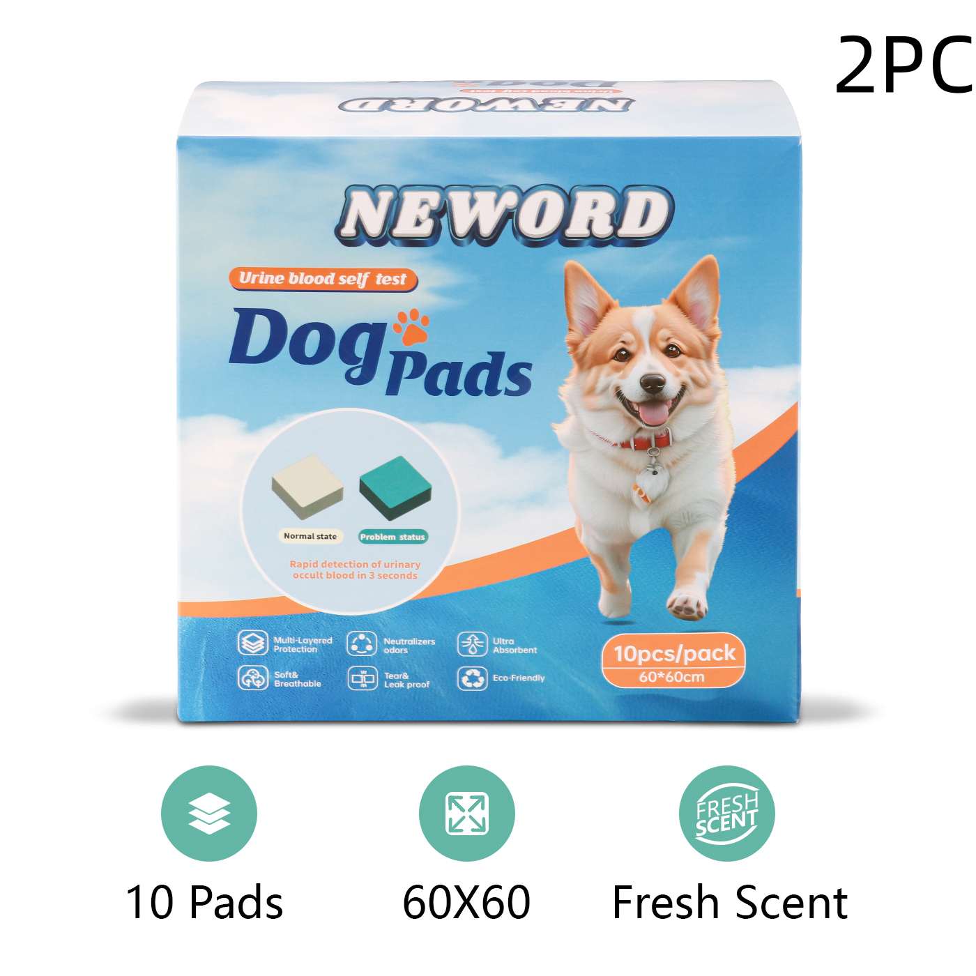 Dog Urine Detection Pads for Puppies & Adult Dogs – 10 Pack