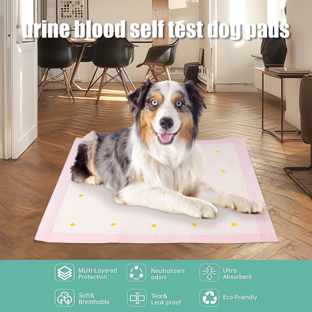 Dog Urine Detection Pads for Puppies & Adult Dogs – 10 Pack